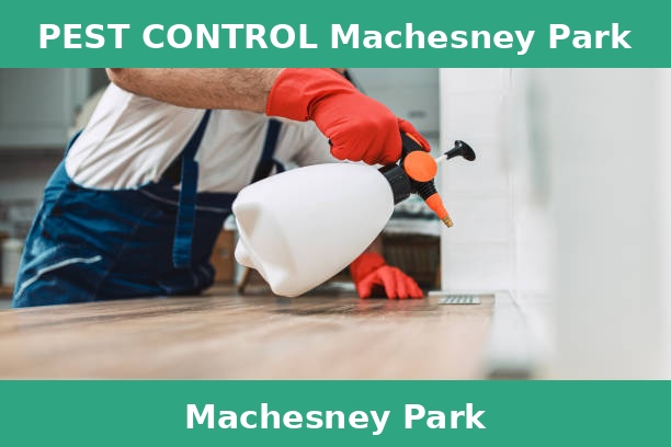 PEST CONTROL Machesney Park
